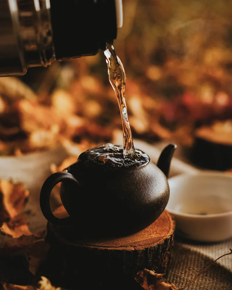 Tea poured from a flask into a small black teapot among autumn leaves